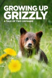 Growing Up Grizzly
