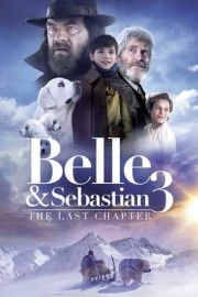 Belle & Sebastian: The Last Chapter
