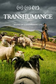 Transhumance: Routes to a Disappearing Life