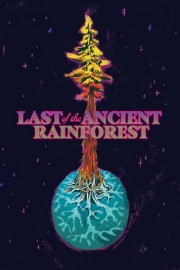 Last of the Ancient Rainforest