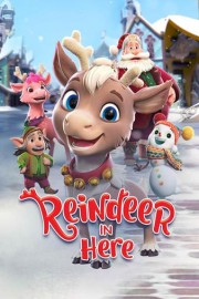 Reindeer in Here