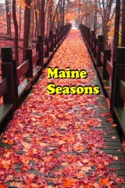 Maine Seasons