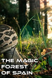 The Magic Forest of Spain