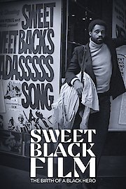 The Birth of a Black Movie Hero: Sweet Sweetback