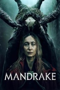 Mandrake