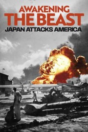 Awakening the Beast: Japan Attacks America