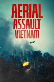 Aerial Assault Vietnam