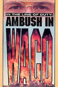 In the Line of Duty: Ambush in Wako