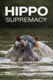 Hippo Supremacy