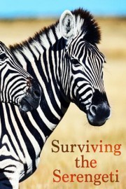 Surviving the Serengeti