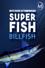Billfish: Superfish With David Attenborough