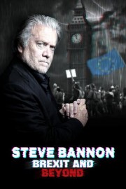 Steve Bannon: Brexit and Beyond