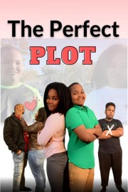 The Perfect Plot