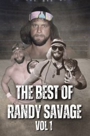 The Best of Randy Savage: Vol 1