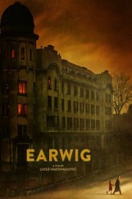 Earwig