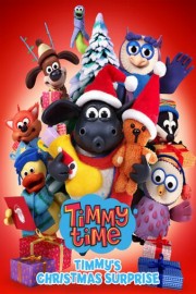 Timmy's Christmas Surprise