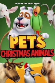 Pets: Christmas Animals