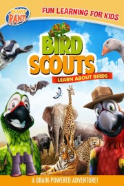Bird Scouts: Learn About Birds