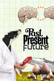 Past, Present, Future