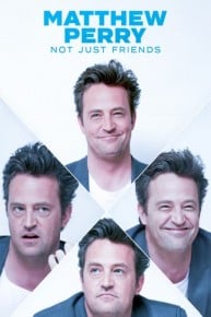 Matthew Perry: Not Just Friends