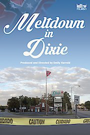 Meltdown in Dixie