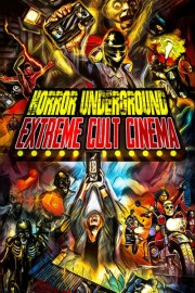 Horror Underground: Extreme Cult Cinema