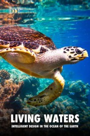 Living Waters: Intelligent Design in the Oceans of the Earth
