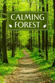 Calming Forest