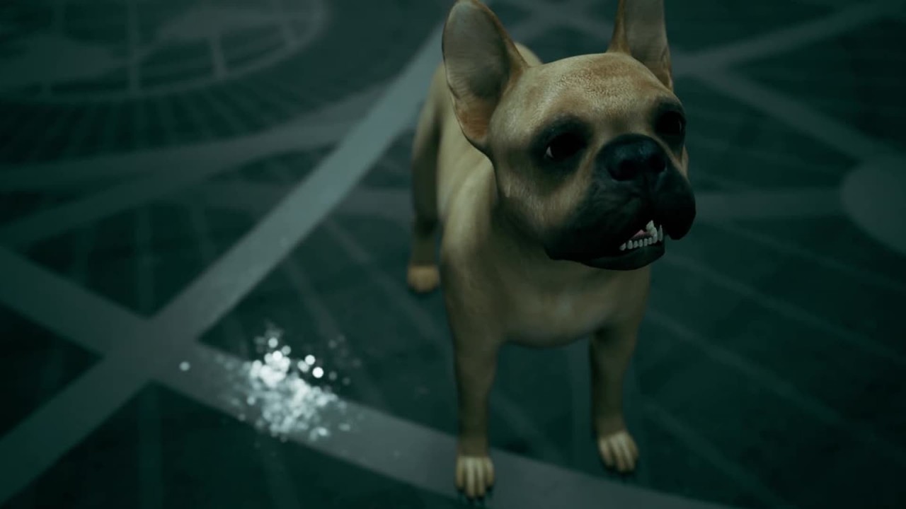 00K9: No Time To Shed