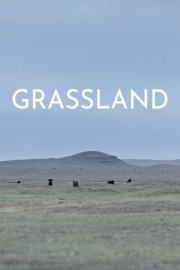 Grassland
