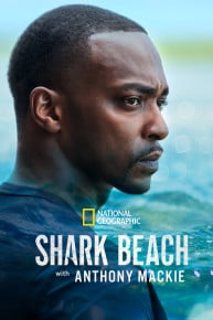 Shark Beach with Anthony Mackie: Gulf Coast