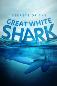 Secrets of the Great White Shark