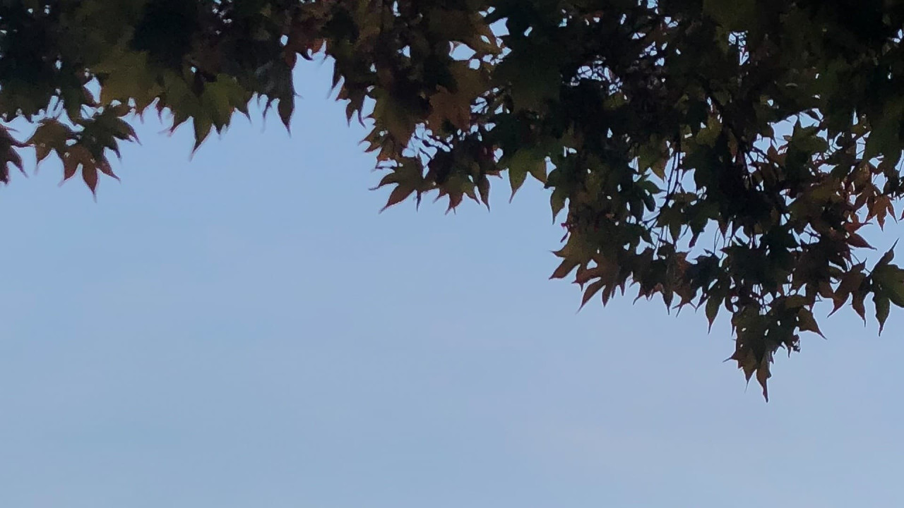 This Must Be The Place