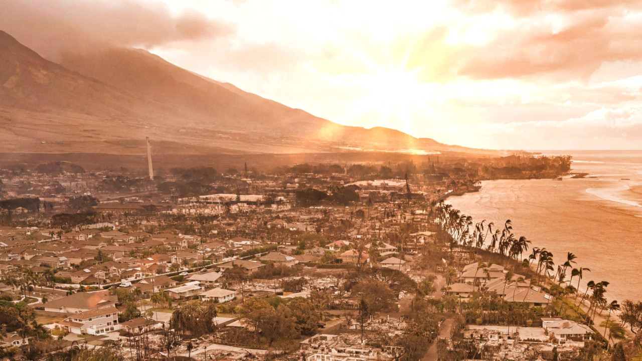 Maui Strong 808: Rising From The Ashes