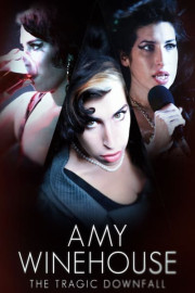 Amy Winehouse: The Tragic Downfall