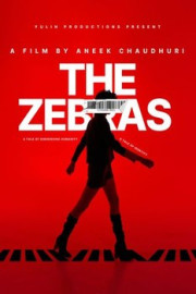 The Zebras: Dark Start