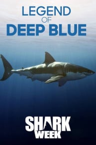 Legend of Deep Blue