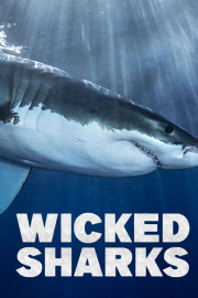 Wicked Sharks