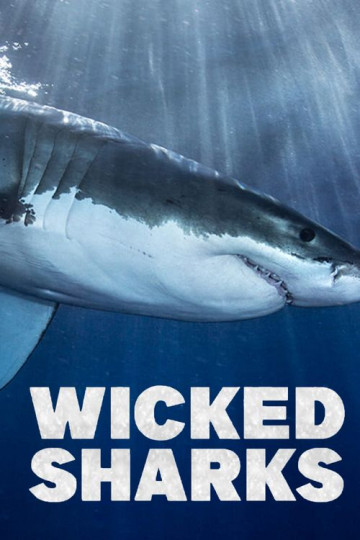 Watch Wicked Sharks Online | 2020 Movie | Yidio