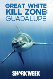 Great White Kill Zone: Guadalupe