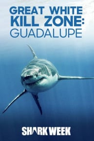 Great White Kill Zone: Guadalupe