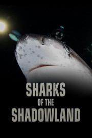 Sharks of the Shadowland