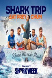 Shark Trip: Eat Prey Chum