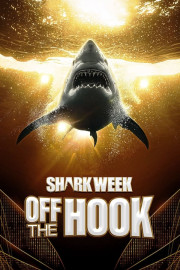 Shark Week: Off the Hook