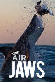 Ultimate Air Jaws