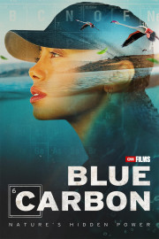 Blue Carbon: Nature's Hidden Power