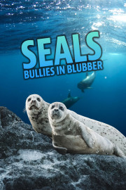 Seals - Bullies in Blubber