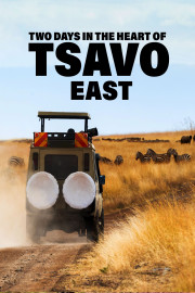 Two Days in the Heart of Tsavo East