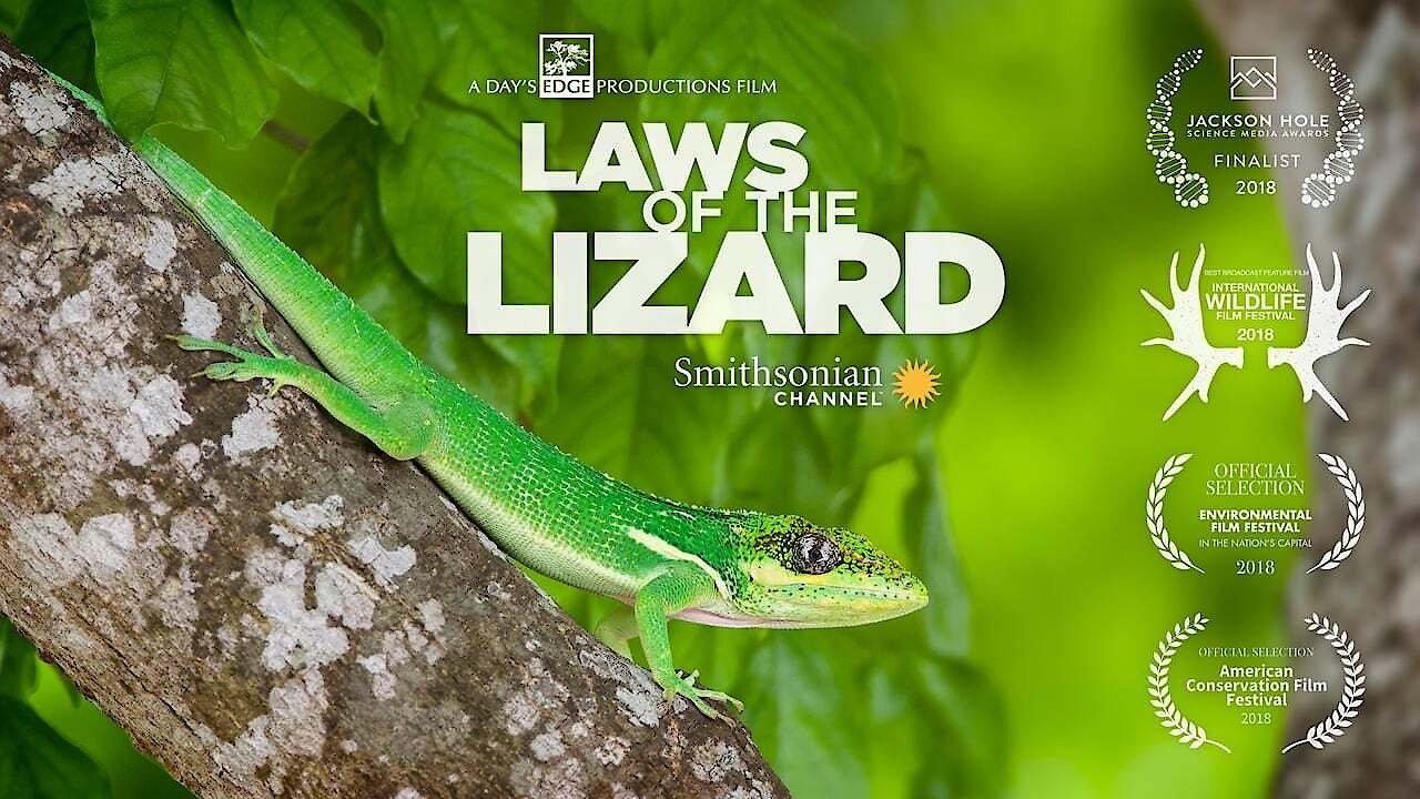 Laws of the Lizard