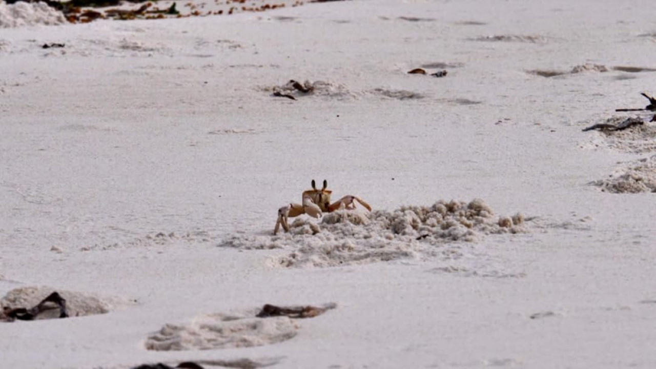 Watamu and Malindi: Jewels of Africa